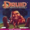 Juego online Druid: Daemons of the Mind (PC)